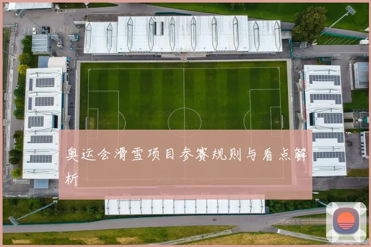 奥运会滑雪项目参赛规则与看点解析